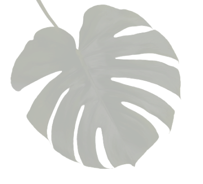 leaf-image