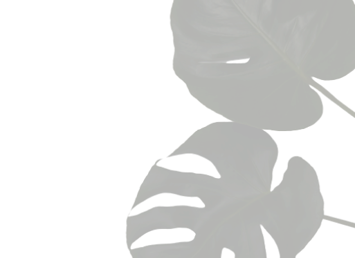 leaf-image